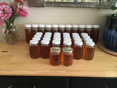 11857549_10206320240276438_2126174302_n