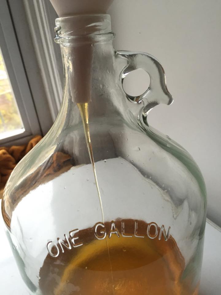 12233210_10206864015070468_1629905283_n